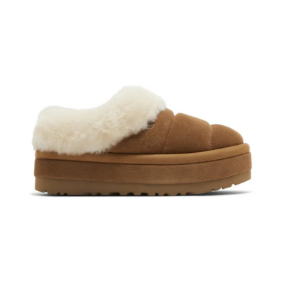 Tazzlita Slipper 'Chestnut